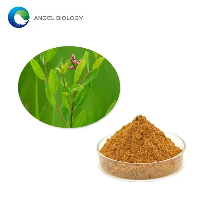 Can Apocynum Venetum Extract Help with Inflammation?
